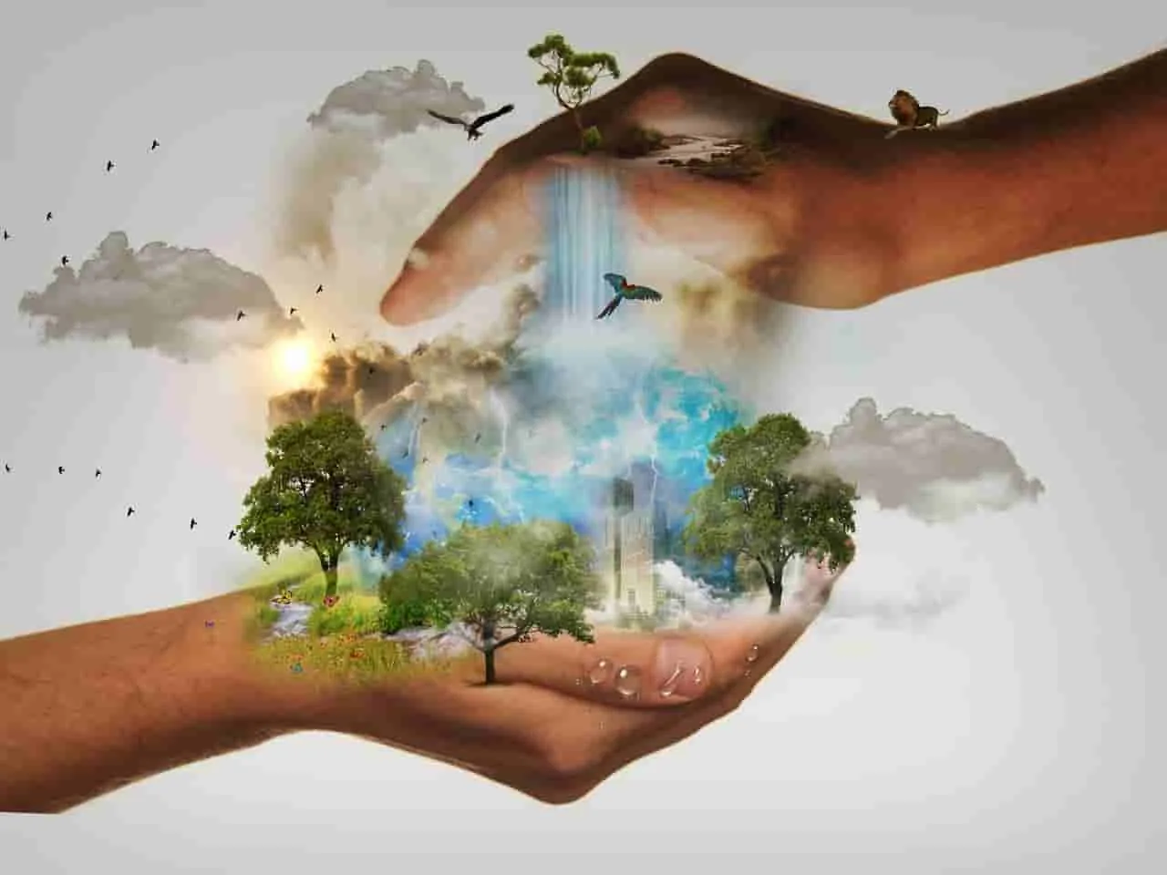 La importancia de la conciencia ambiental en la educación de las nuevas generaciones.