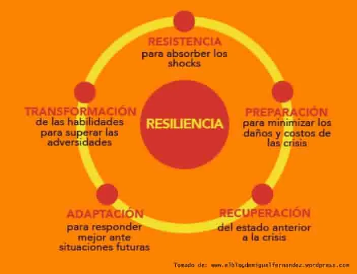 La importancia de la resiliencia en el desarrollo personal y profesional.
